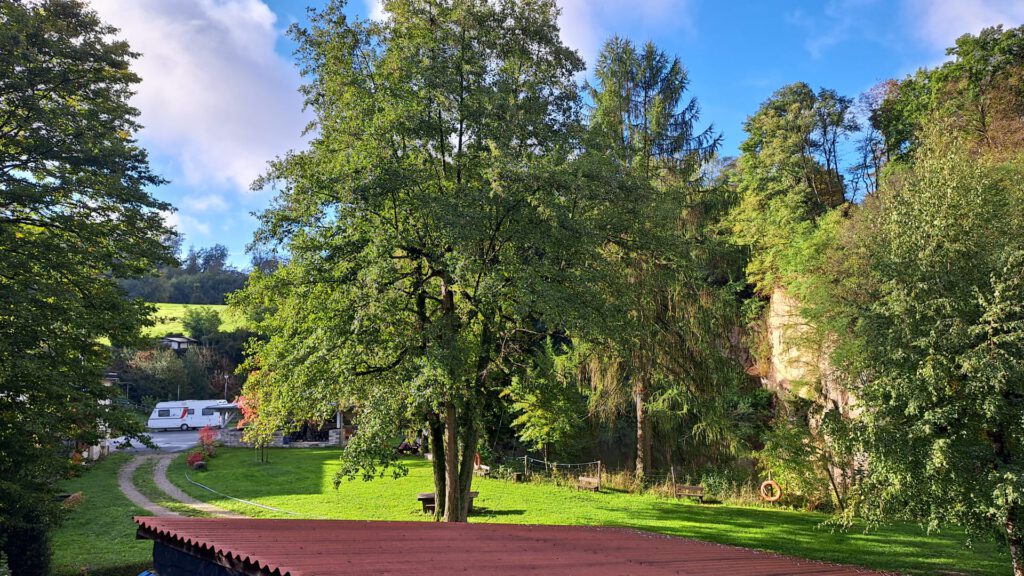 Herbst auf unserem Gelände…die Wiese wieder schön grün!